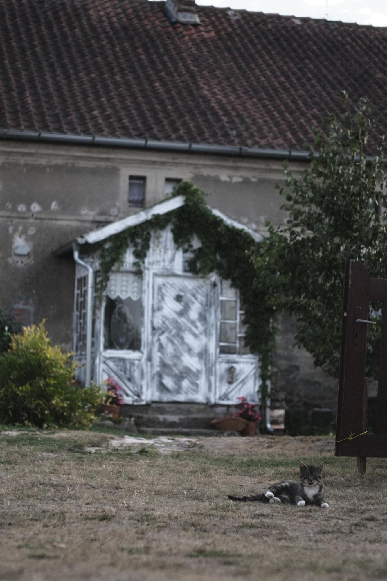 Miejsce Mocy Mazury Apartment Kolno  Exterior photo